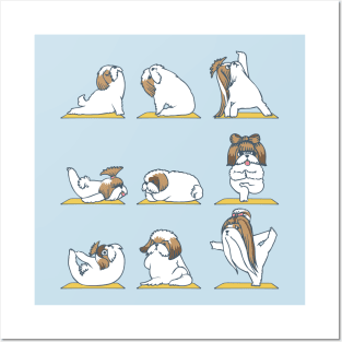 Shih Tzu Yoga Posters and Art